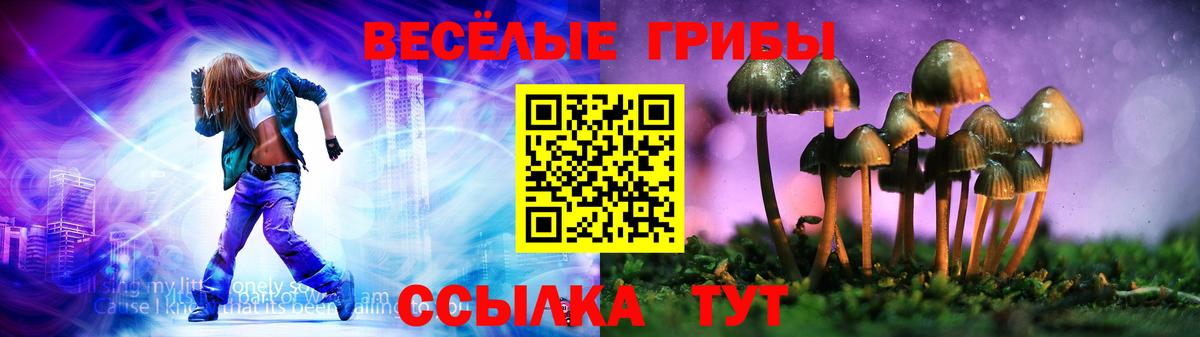 Ступино  где продают   Вход с VPN  Галлюциногенные грибы MAGIC MUSHROOMS 